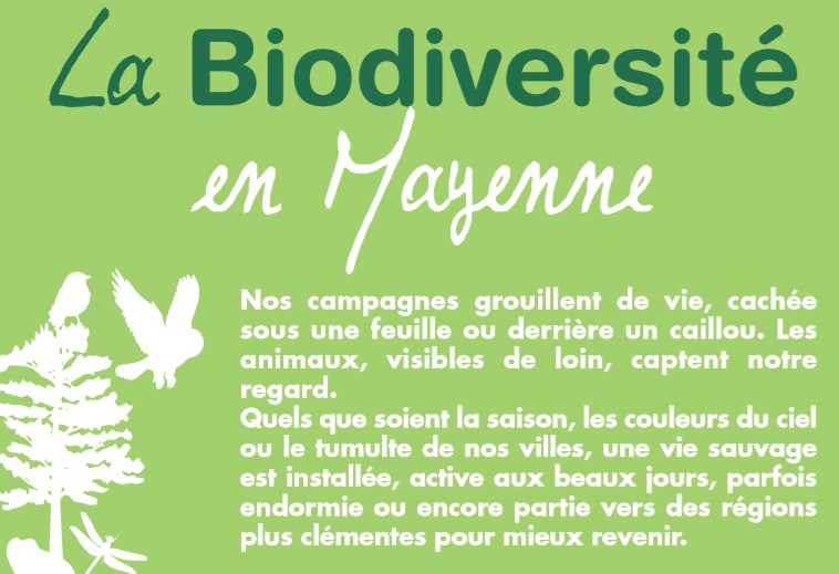 La biodiversité en Mayenne
